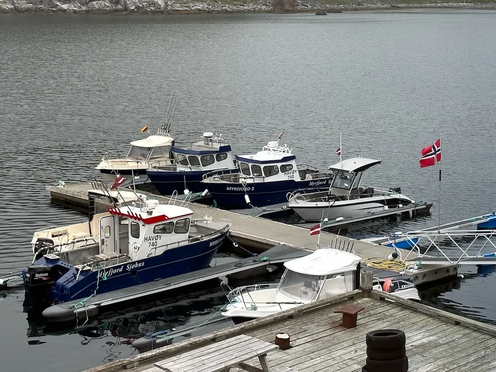 Cabin boats and open boats moored alongside the pontoons.