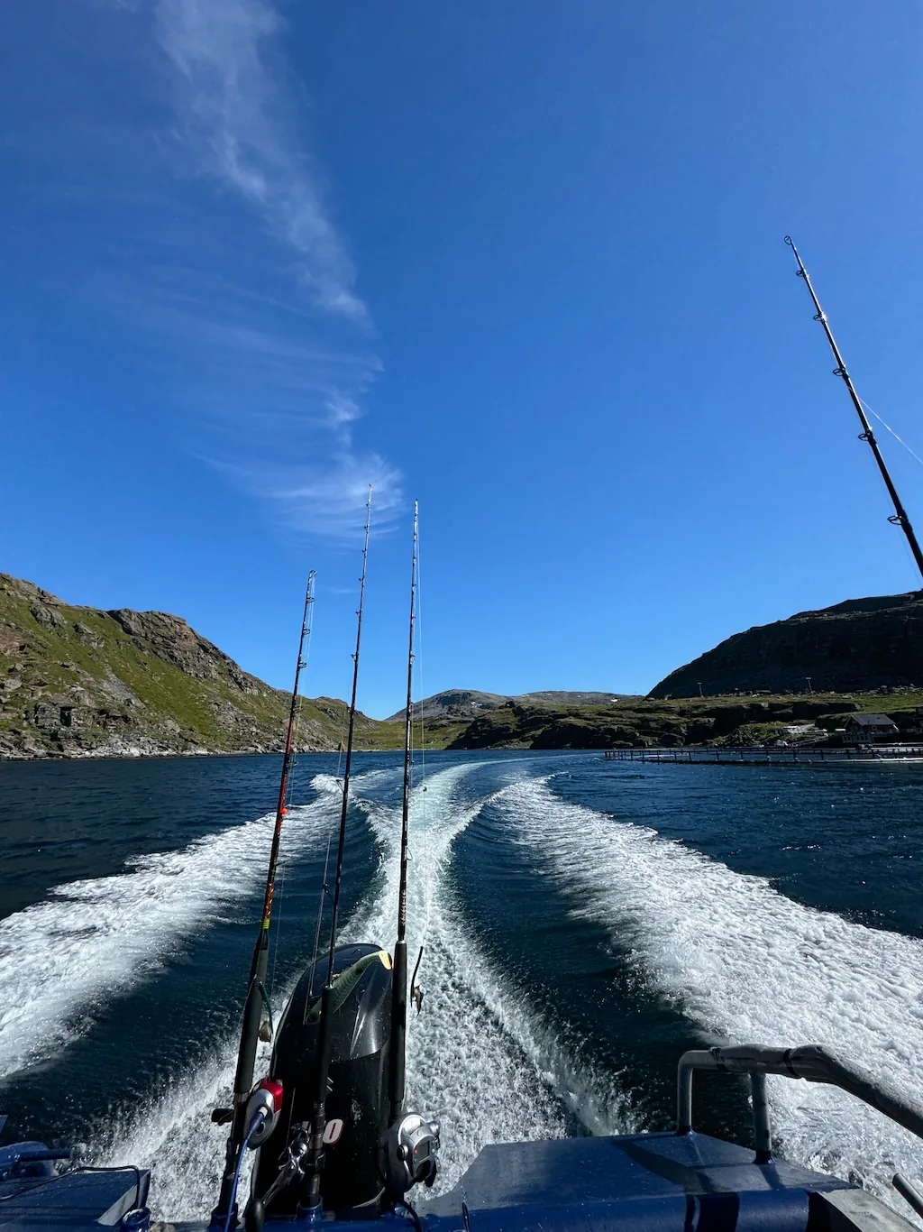 Fishing rods rise above the wake of a boat under a blue sky.