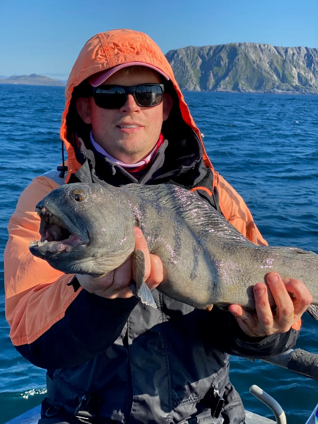 Angler holding a broad-headed sea fish with coastal cliffs behind