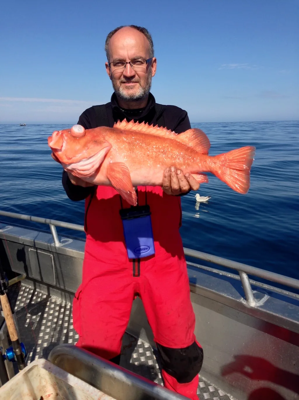 Angler holding a red sea fish aboard a boat